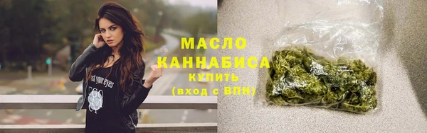 амф Верхний Тагил