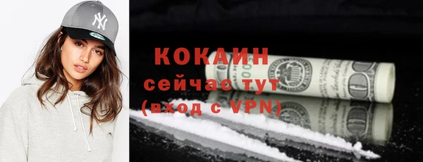 амф Верхний Тагил