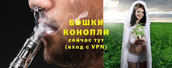 спиды Бородино