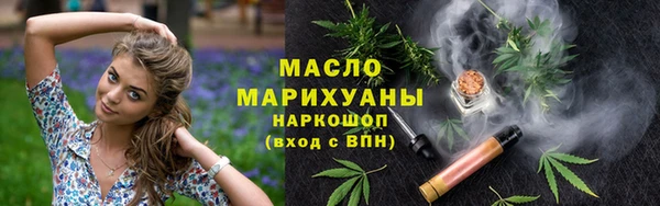амф Верхний Тагил