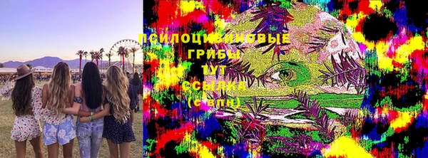 амф Верхний Тагил
