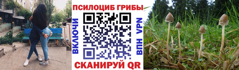 Псилоцибиновые грибы Cubensis  blacksprut маркетплейс  Грязовец 